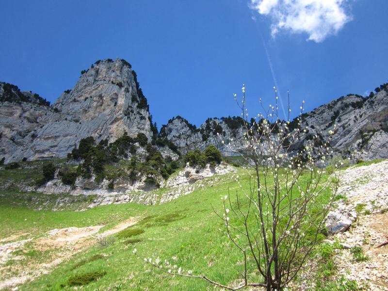 Sous la montée au pas de Montbrun