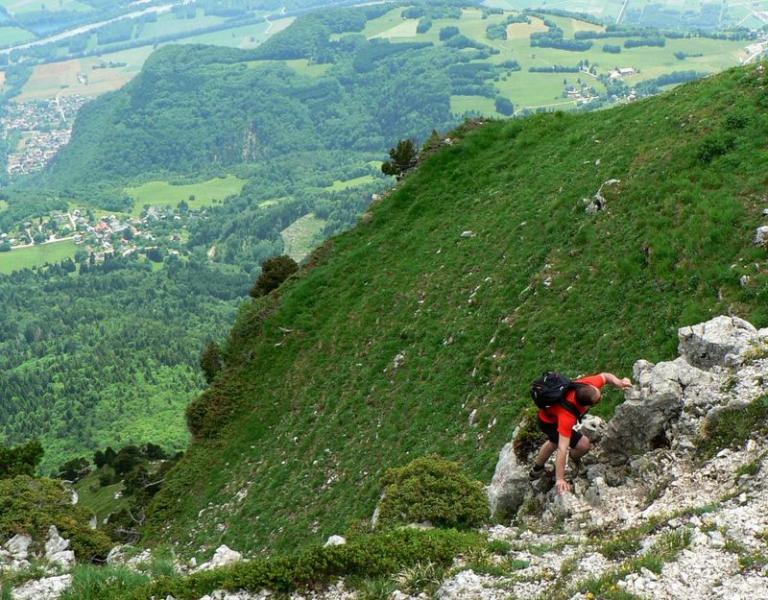 Sous le Piton de Bellefont