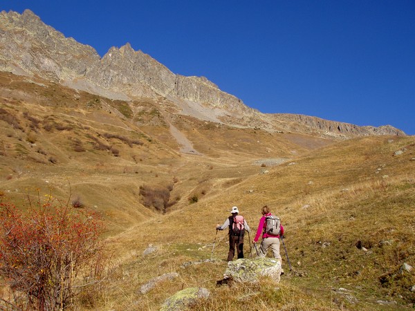 Sous le col