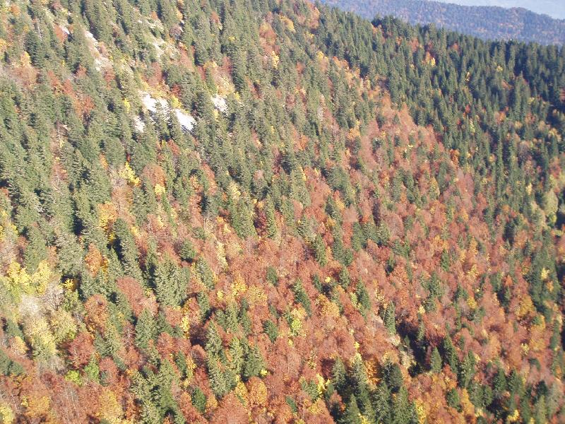 Sous le pilier S de Chamechaude