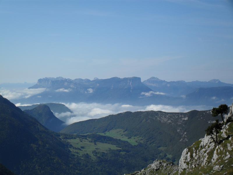 Sous le sommet