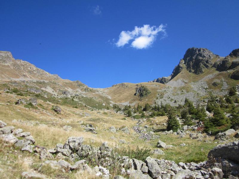 Sous les Vénétiers