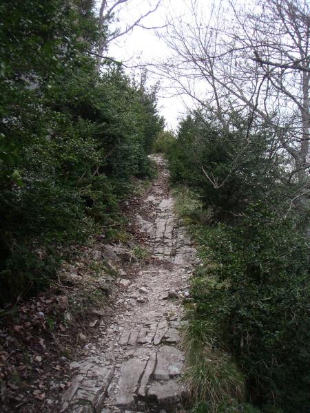 St Medard