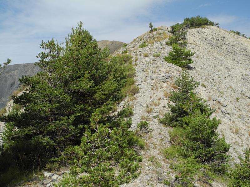 Sur l'arÃªte de la Colle
