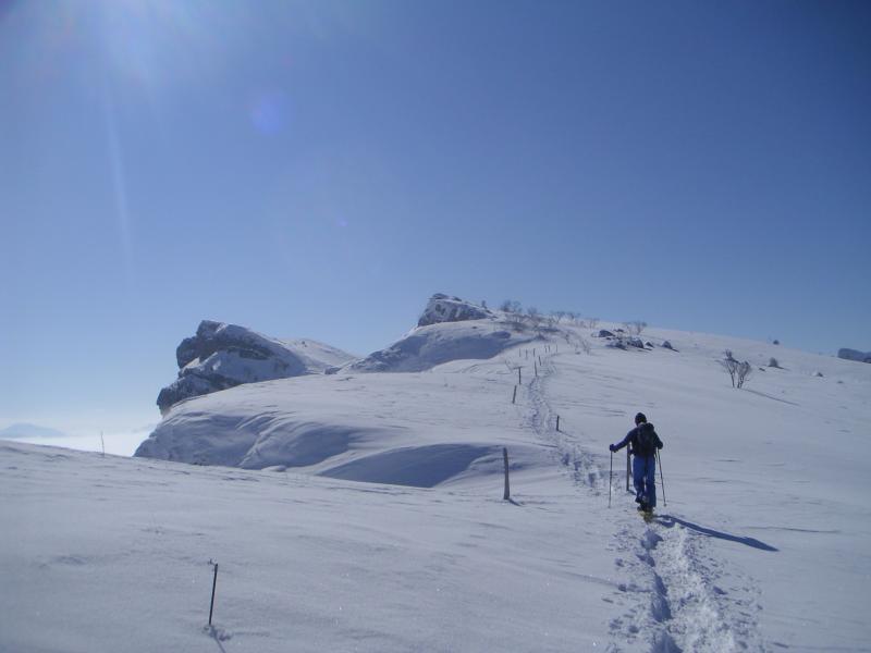 Sur la crête