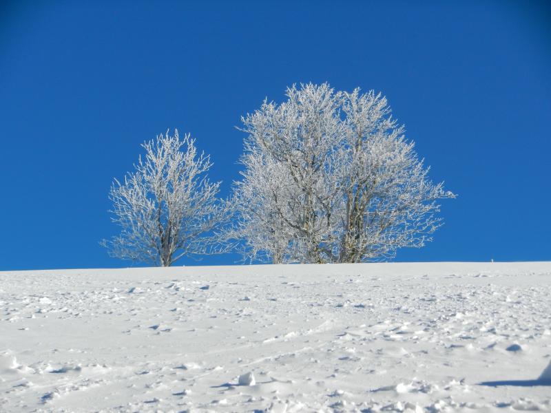 Sur la crête
