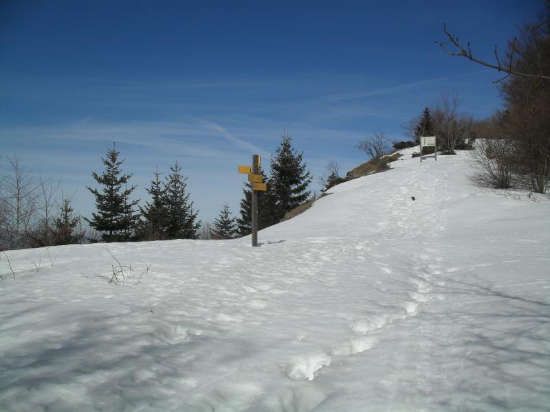 Sur la crête