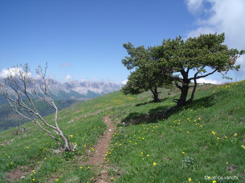 Sur la crête du Baconnet.
