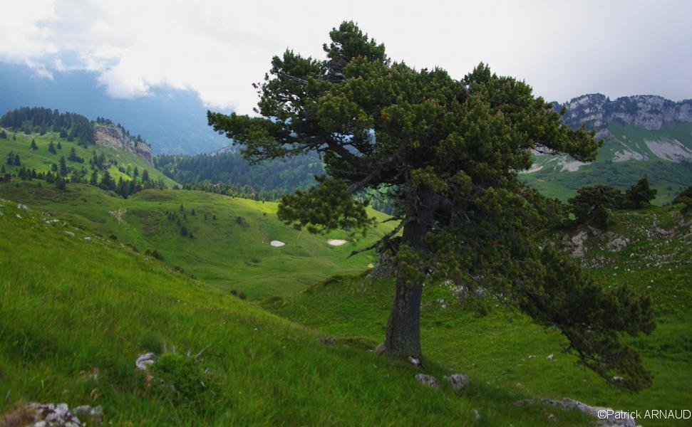 Sur la crête du Lorzier