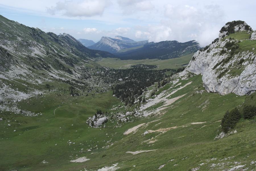 Sur le Col de Bellefond - Coté Nord