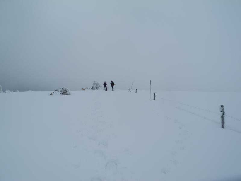 Sur le GR3 (Ã  l'aller)