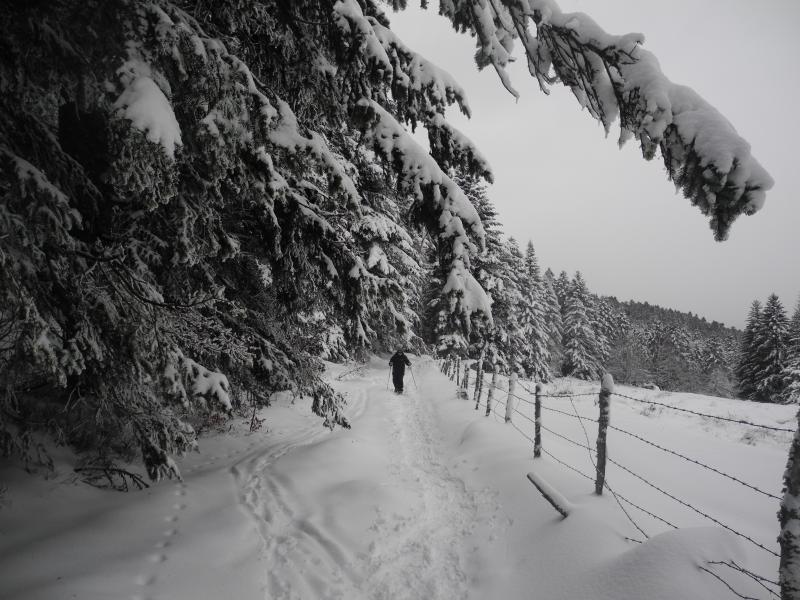 Sur le GR