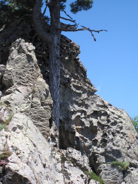 Sur le chemin de l'arche