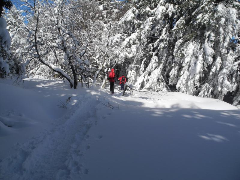 Sur le chemin des Crêtes...
