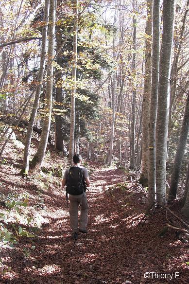 Sur le chemin du retour