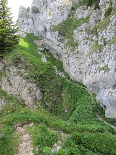 Sur le sangle...