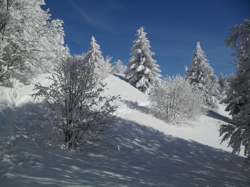 Sur les crêtes du Mt Joigny