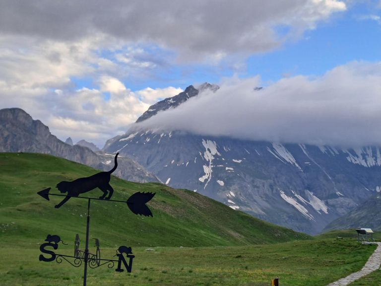 Morning Mountain Bike Ride