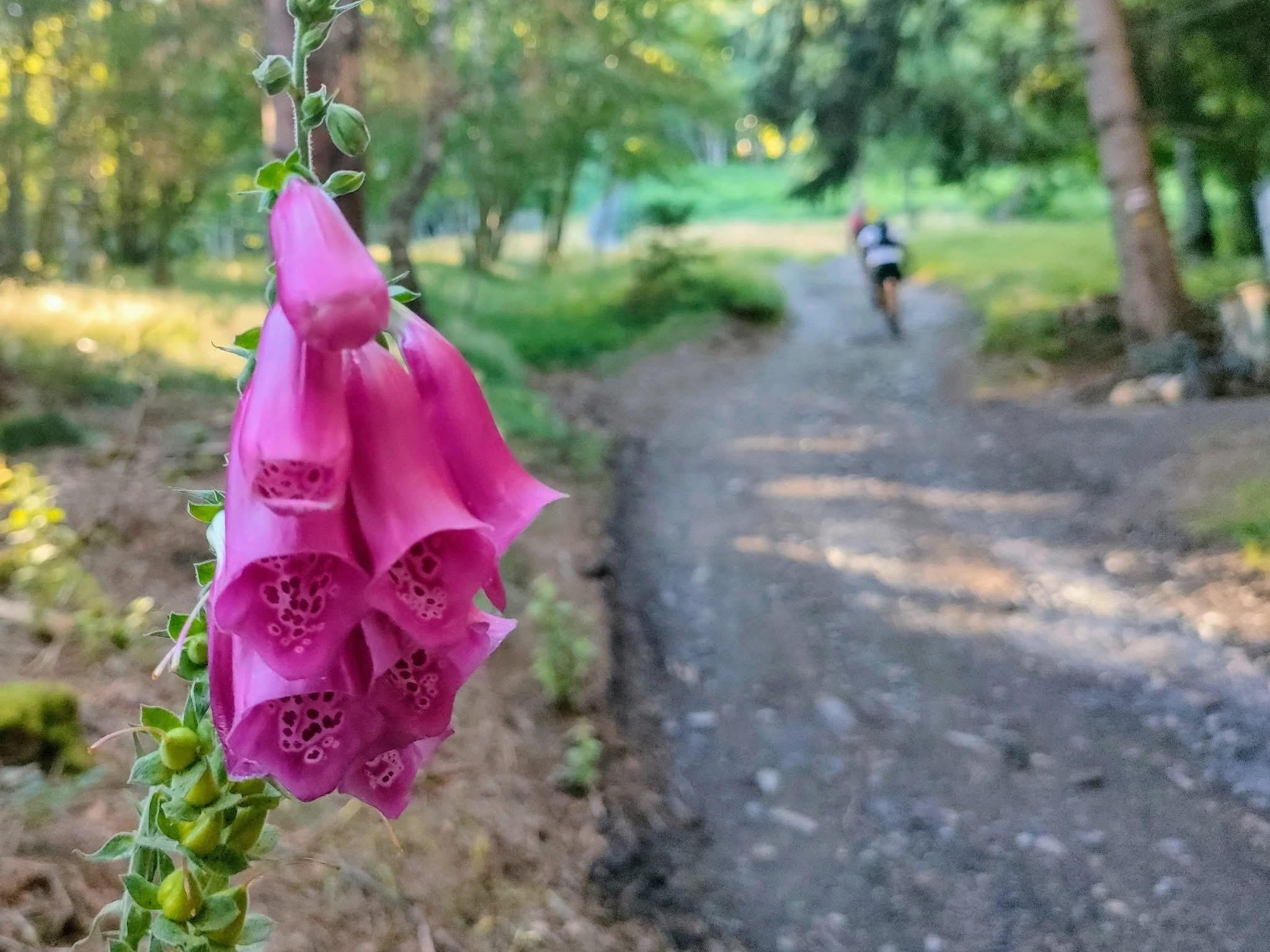S'échapper de l'attraction terrestre 