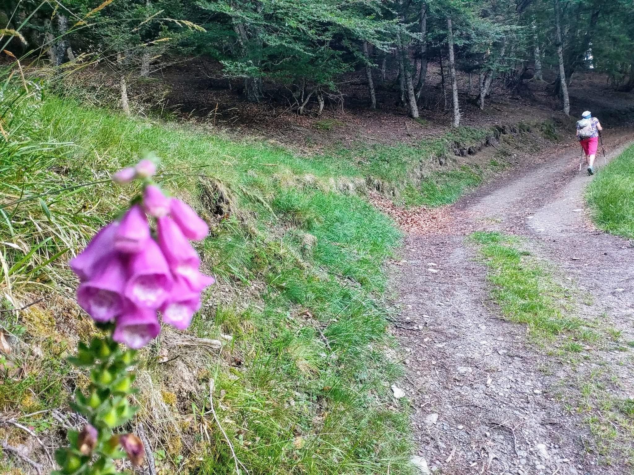 S'échapper de l'attraction terrestre 