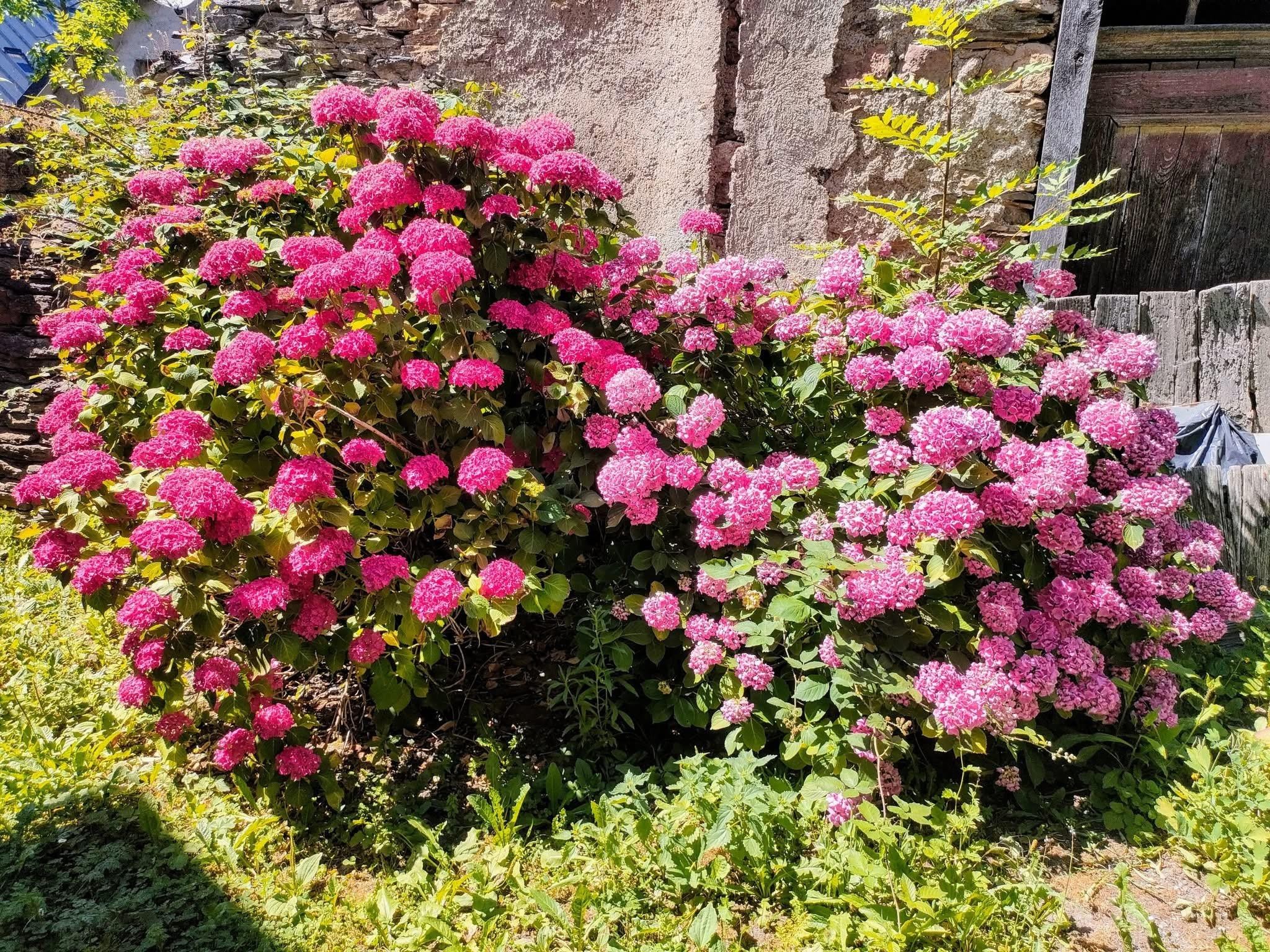 S'échapper de l'attraction terrestre 