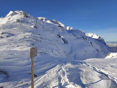 S0Z_3-TidvHRiL041EPFF5xJQi0m5WpB3ePj5zquuJQ-2048x1536