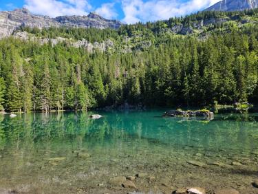 RUN 53: Tour des Ayeres