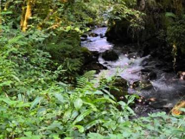 2025. Gr 10. J1. Aunac. Ustou