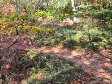 L&apos;Ursuya avec Nicolas 👍🌞