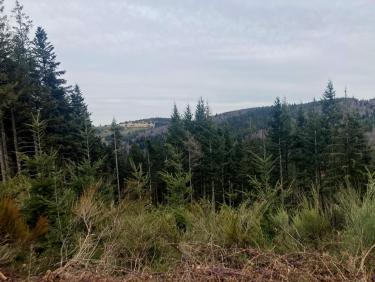 Salvaris est encore loin (tout au fond à gauche)