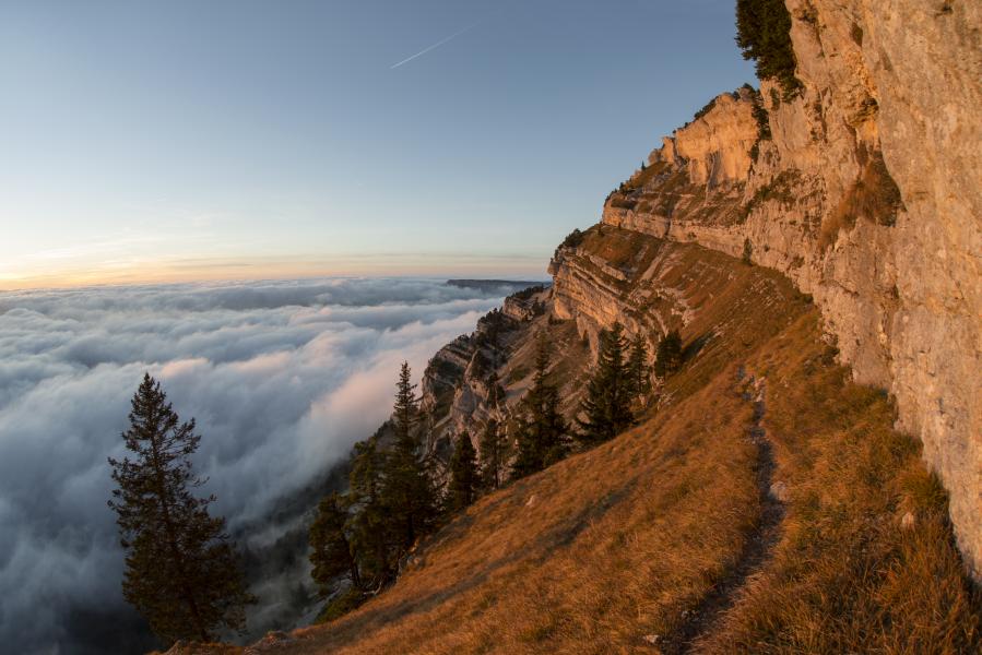 sangle du fouda blanc
