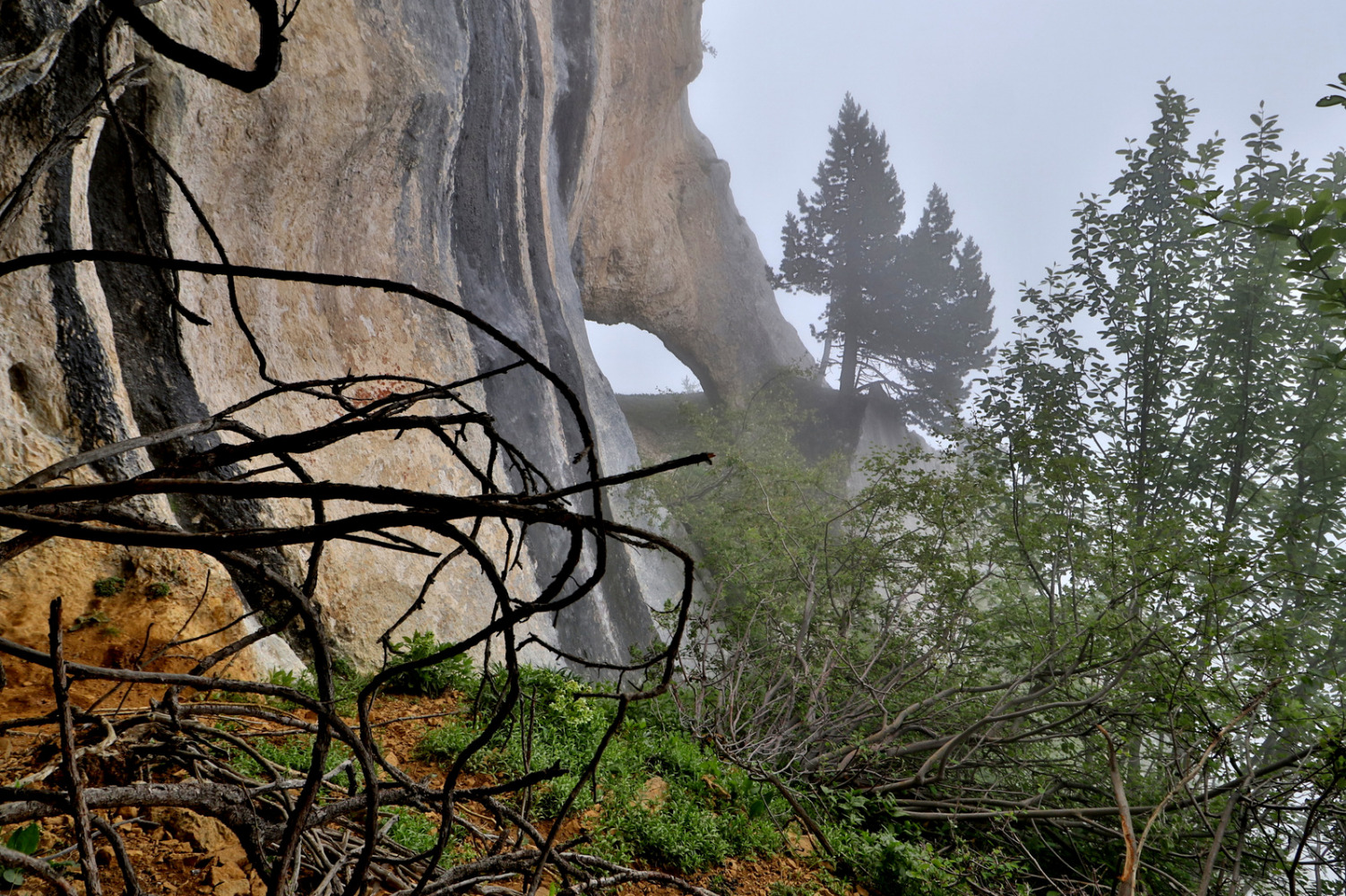 Sangles et Arches de Belles ombres