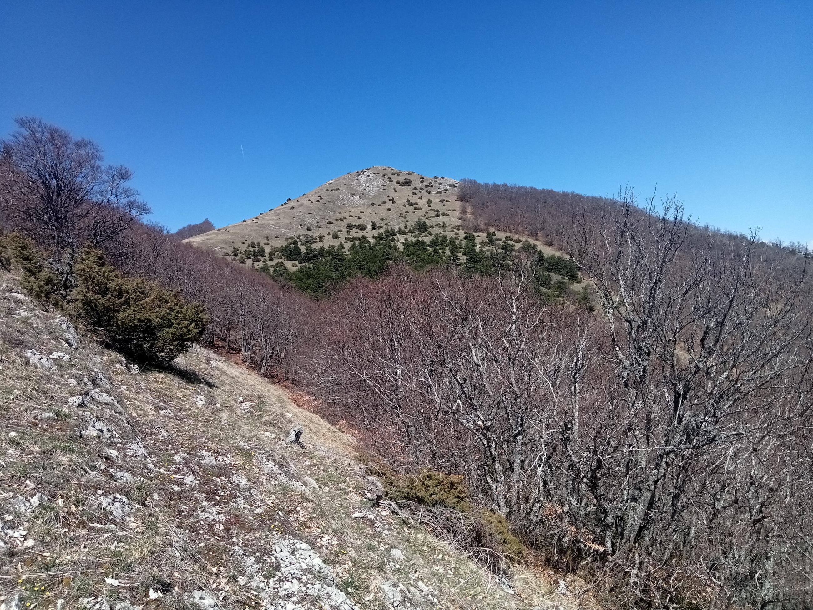 Le Sarrier depuis la Caire