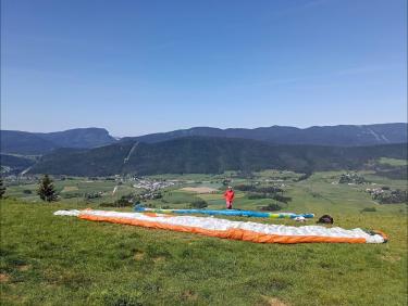 Saut de puce 