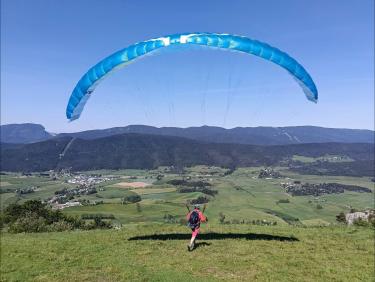 Saut de puce 