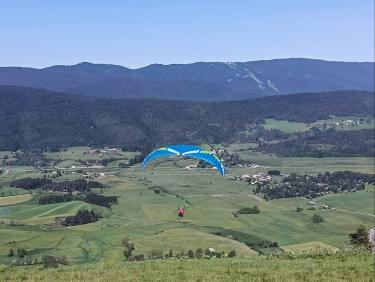 Saut de puce 