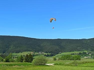 Saut de puce 