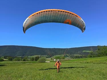 Saut de puce 