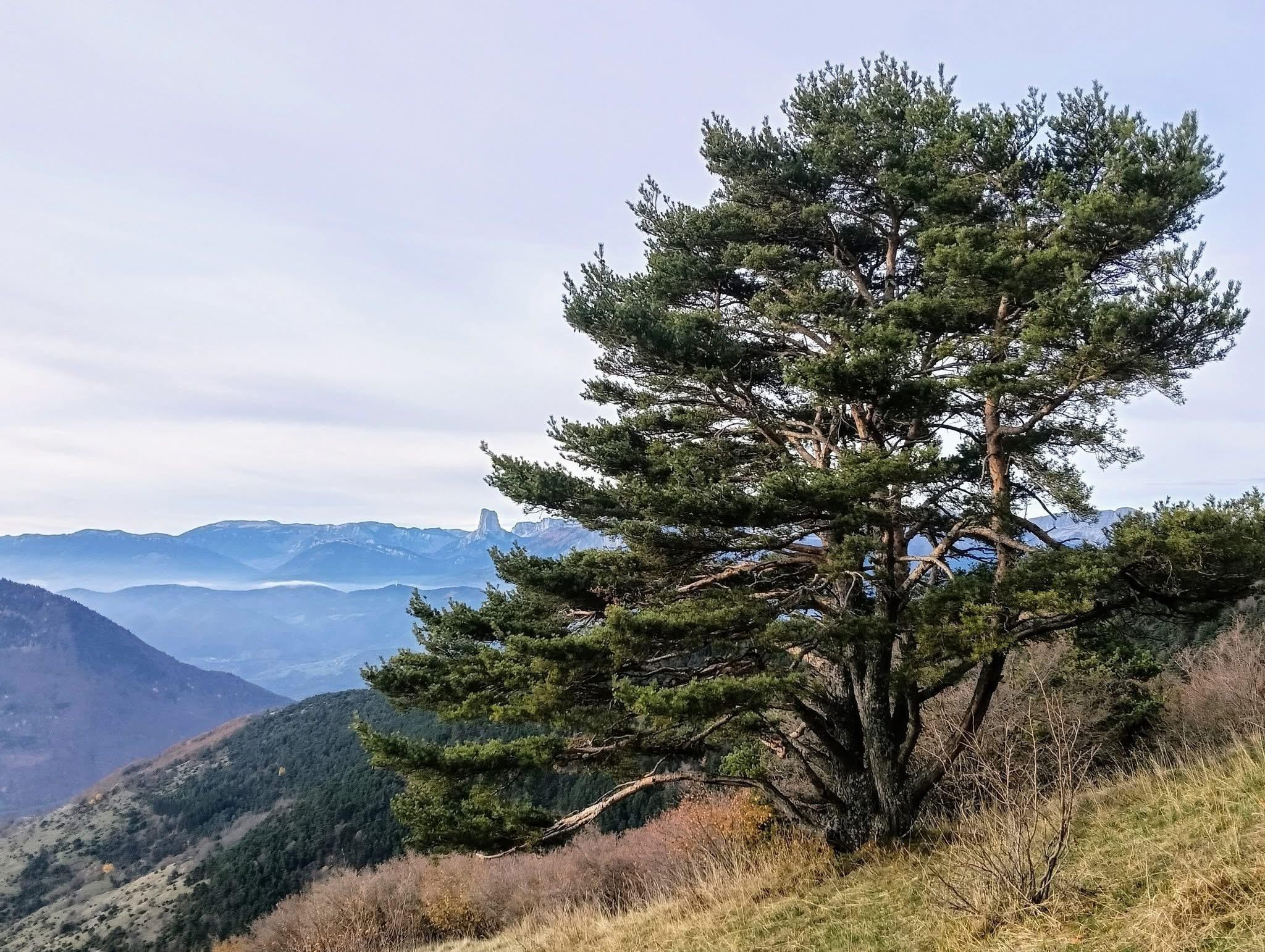 Sauvés par le gong !