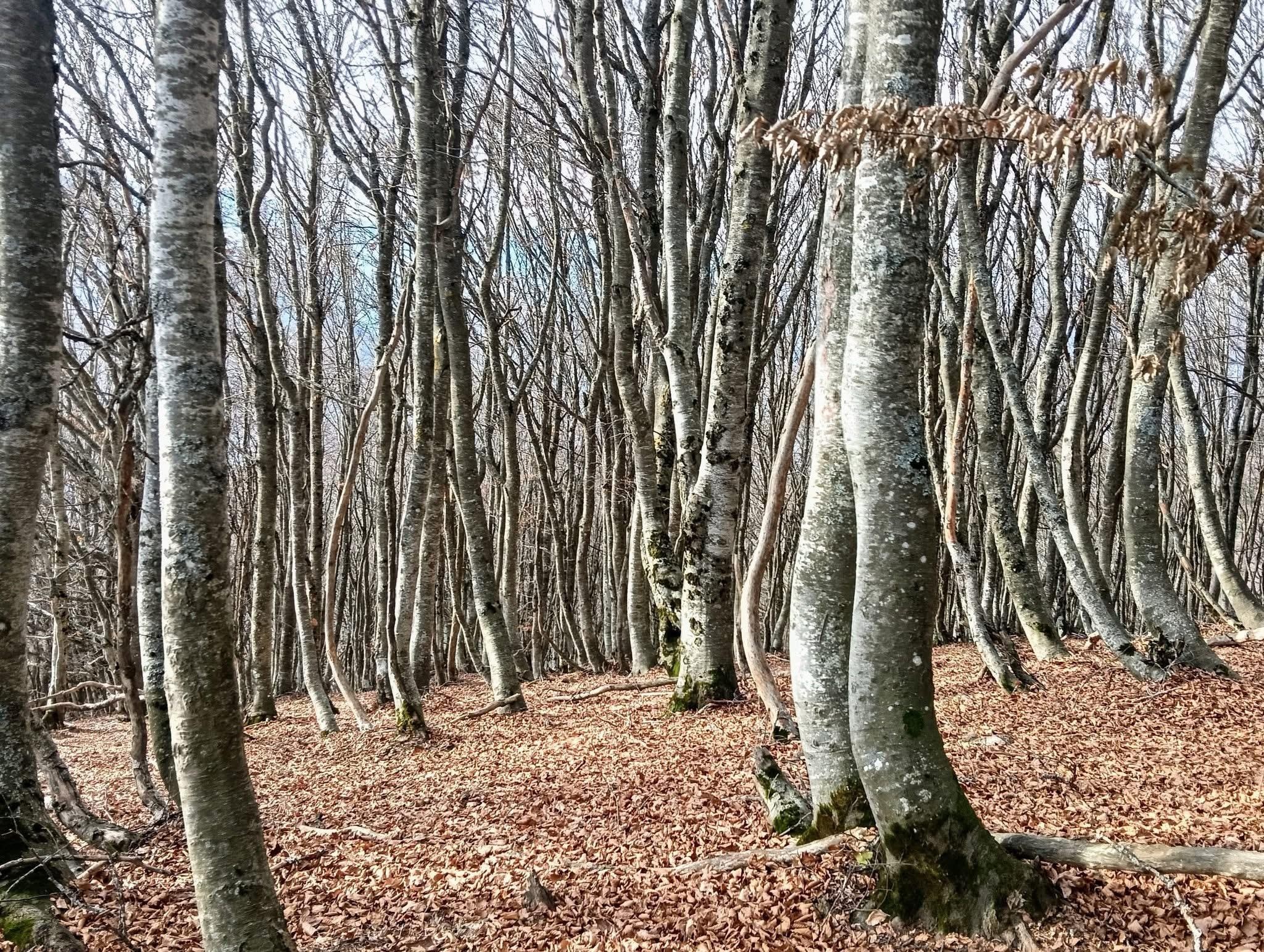 Sauvés par le gong !