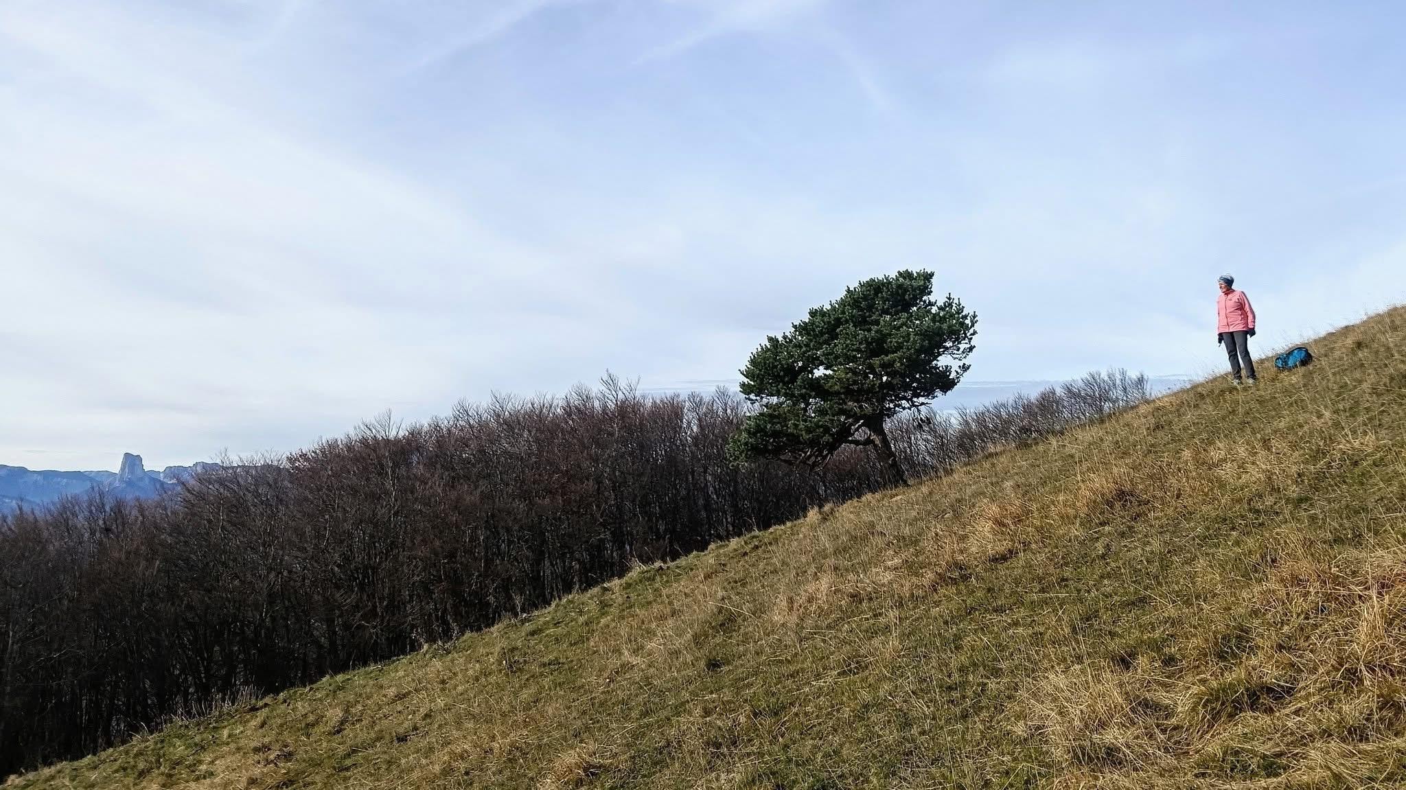 Sauvés par le gong !