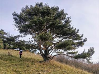 Sauvés par le gong ! (Montagne du Conest (La Peyrouse))