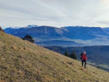 Sauvés par le gong !