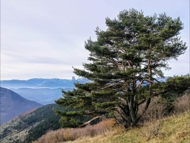 Sauvés par le gong !
