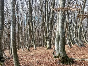 Sauvés par le gong !