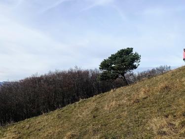 Sauvés par le gong !