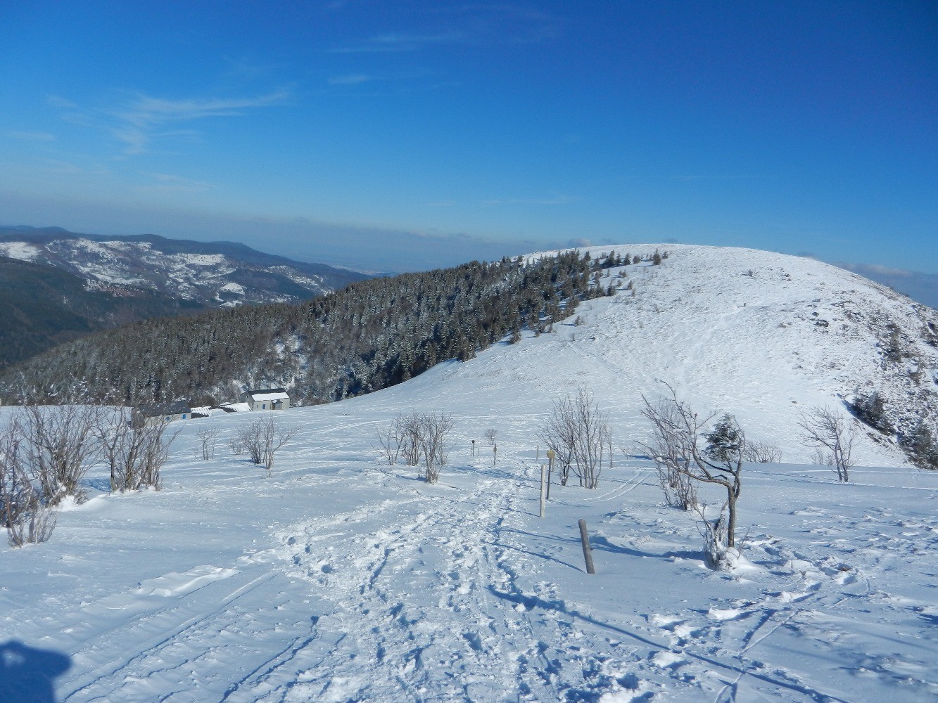 Schaeferthal et Petit Hohneck