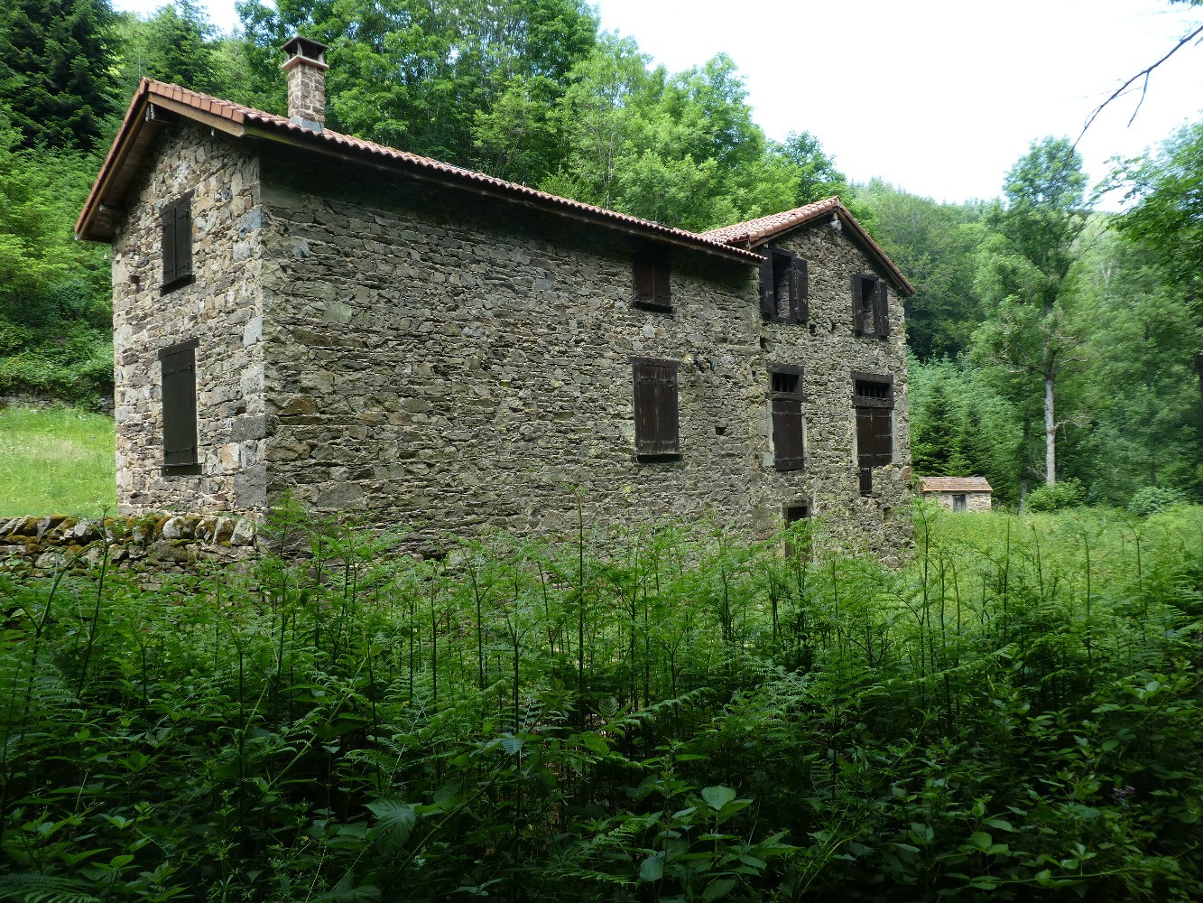 Scie du Coin