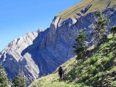 Au dessus de Poet de Platin