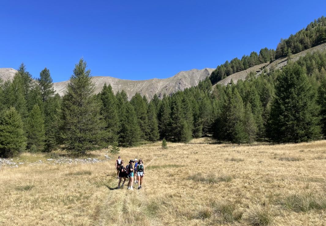 Sécheresse à l'Aupillon